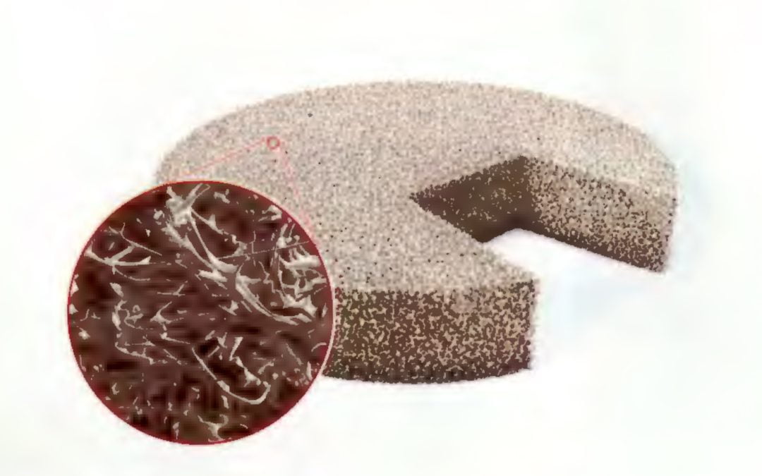 mVASC – New Treatment for Tissue Repair